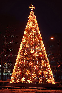 一棵大圣诞树在黑暗中亮起