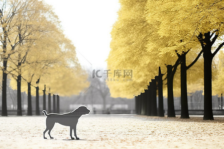 一只狗站在公园里的一棵树旁边