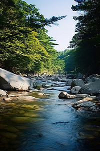 古诗瀑布背景图片_一条河流，位于一个有岩石和树木的美丽地区
