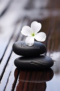 木桌上的黑色岩石与白花