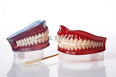 显示牙齿的牙科模型