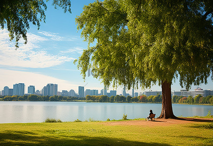 湖边公园背景图片_一个女人坐在湖边公园的一棵树下