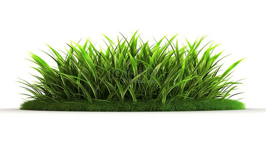 白色背景上一片孤立的绿草的 3d 渲染
