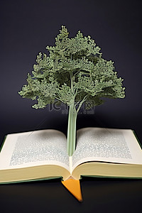 一本打开的书中间的一棵纸树