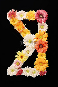 花形字母 z