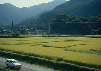 稻田村庄背景图片_以山为背景的路上的稻田