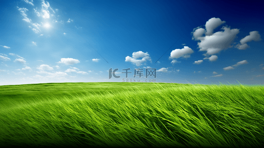 绿色写实背景图片_新鲜夏天蓝天白云草原风景背景图