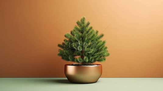 圣诞节花瓶背景图片_3D 盆栽冷杉或云杉树令人惊叹的绿色和青铜插图，具有充足的复制空间