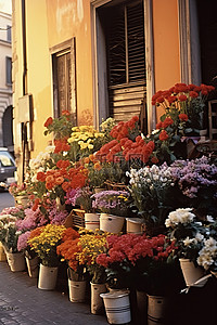 两人在街上走背景图片_街上花摊上的鲜花