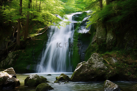 水绿色图背景图片_落基山脉绿色林区的瀑布