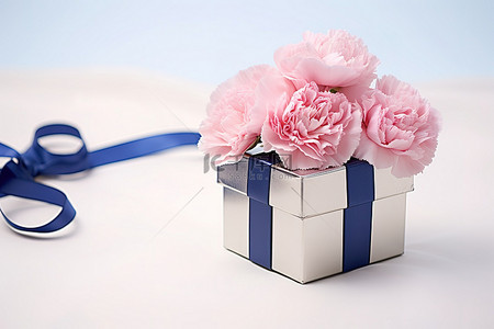 粉色康乃馨坐在蓝色盒子上
