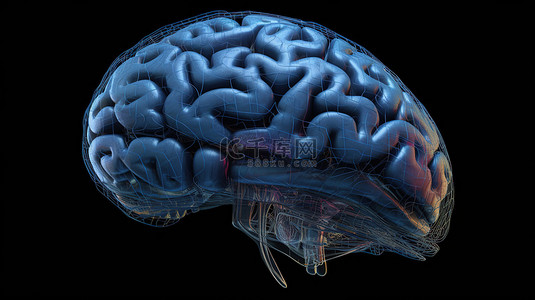 水球图背景图片_渲染大脑的 3d 插图