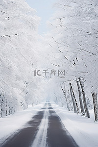 路上背景背景图片_冬天的冬天道路上有雪覆盖的树木