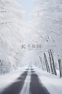 冬天的冬天道路上有雪覆盖的树木