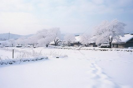 雪景房子背景图片_雪景中的冬季小房子