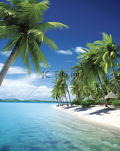 海水边背景图片_海滩和水边的棕榈树