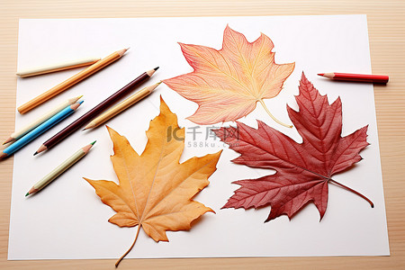叶子的剪裁和铅笔的颜色