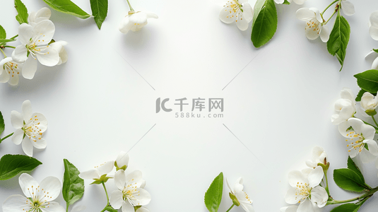 白色背景上摆放美丽花朵花束的背景图8