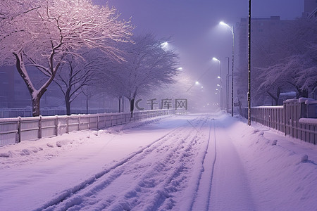 夜晚被雪覆盖的道路上的雪景