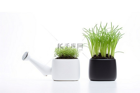 自有种植背景图片_在黑色标志下和白色背景上种植带草的小盆