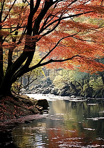 在河边背景图片_秋天的树叶在河边