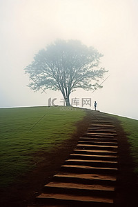 一个年轻人走下山前的台阶，山上有一棵孤立的树