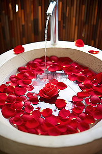 带水的花瓣背景图片_带红色花瓣的美丽心形浴室水槽