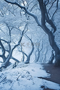 桃李遍九州背景图片_九州的雪树 韩国自然旅游指南