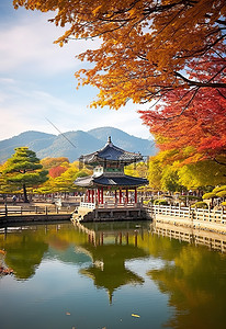 韩国首尔是韩国著名的旅游胜地，秋天的树叶覆盖着树木
