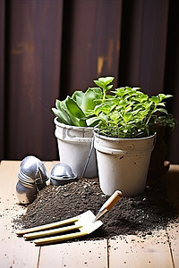 木桌盆栽背景图片_木桌上放着肥料和植物的容器