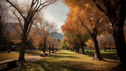 秋季风景插画背景图片_公园风景树木