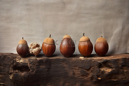 坚果可爱背景图片_老木树桩上的五个杏仁坚果