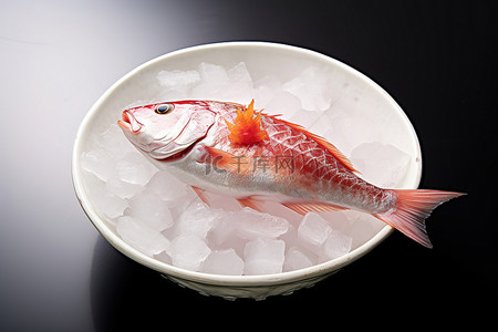 碗里冰上的鱼