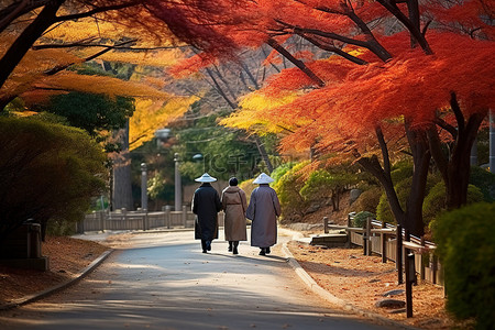 僧背景图片_两个男人走在铺满彩色树叶的街道上