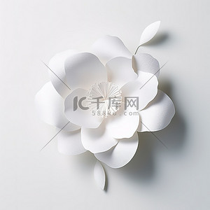 白色的花背景图片_纸上的花