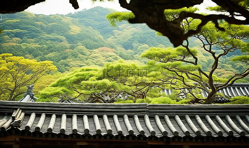 背景是绿树和山，宫殿的屋顶俯视