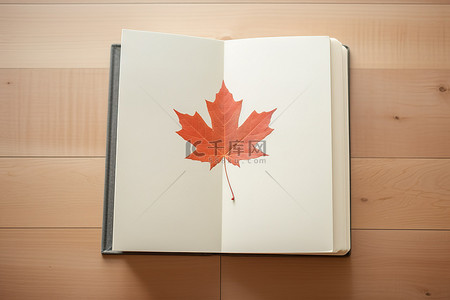木地板上一本印刷书封面上的枫叶