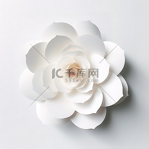 一朵白色的纸花显示在白色的表面上