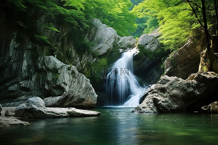 花果山瀑布背景图片_瀑布位于一片大森林的中间