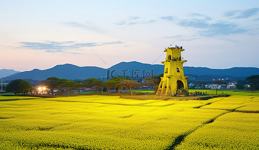 春天黄昏背景图片_从上方看黄昏时的农田塔