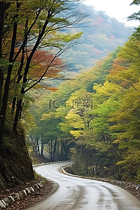 忠背景图片_当当忠山的山路