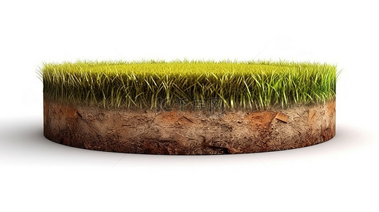 圆形草在充满活力的绿色草坪上隔离的 3D 插图