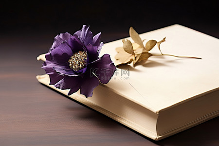 紫色的花坐在书的上面