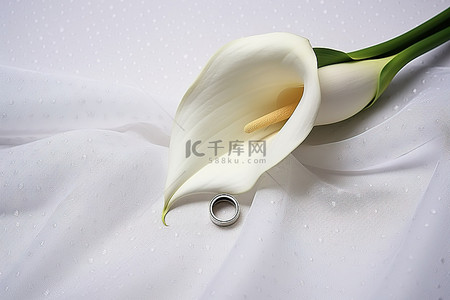婚礼上白色面纱上带戒指的马蹄莲花