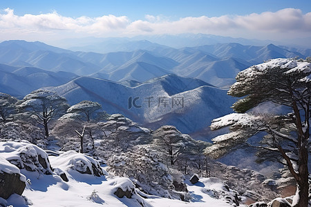 世界高原韩国比甲山国立公园