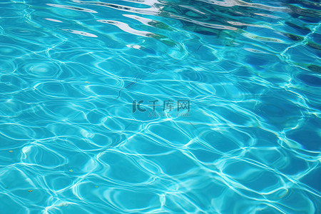 泳池人群背景图片_泳池里的水很清澈