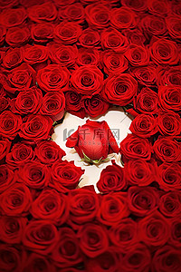 红玫瑰贺卡图片