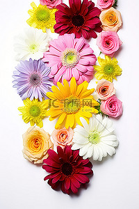 菊花背景图片_各种五颜六色的花朵围成一圈