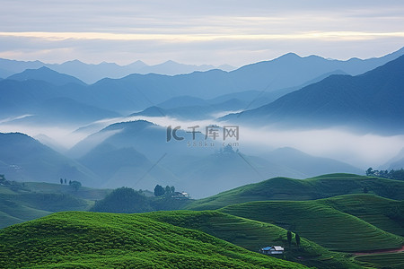 农场植物背景图片_中国常熟省的山景和雾气笼罩的农场