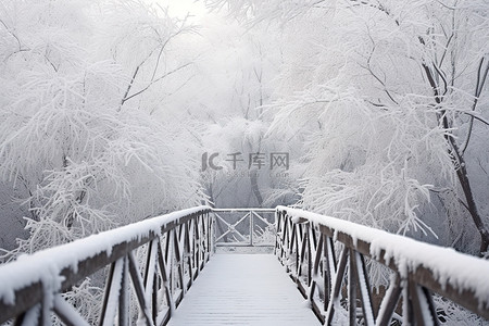 冰雪花背景图片_一座积雪覆盖的冰桥靠在树上